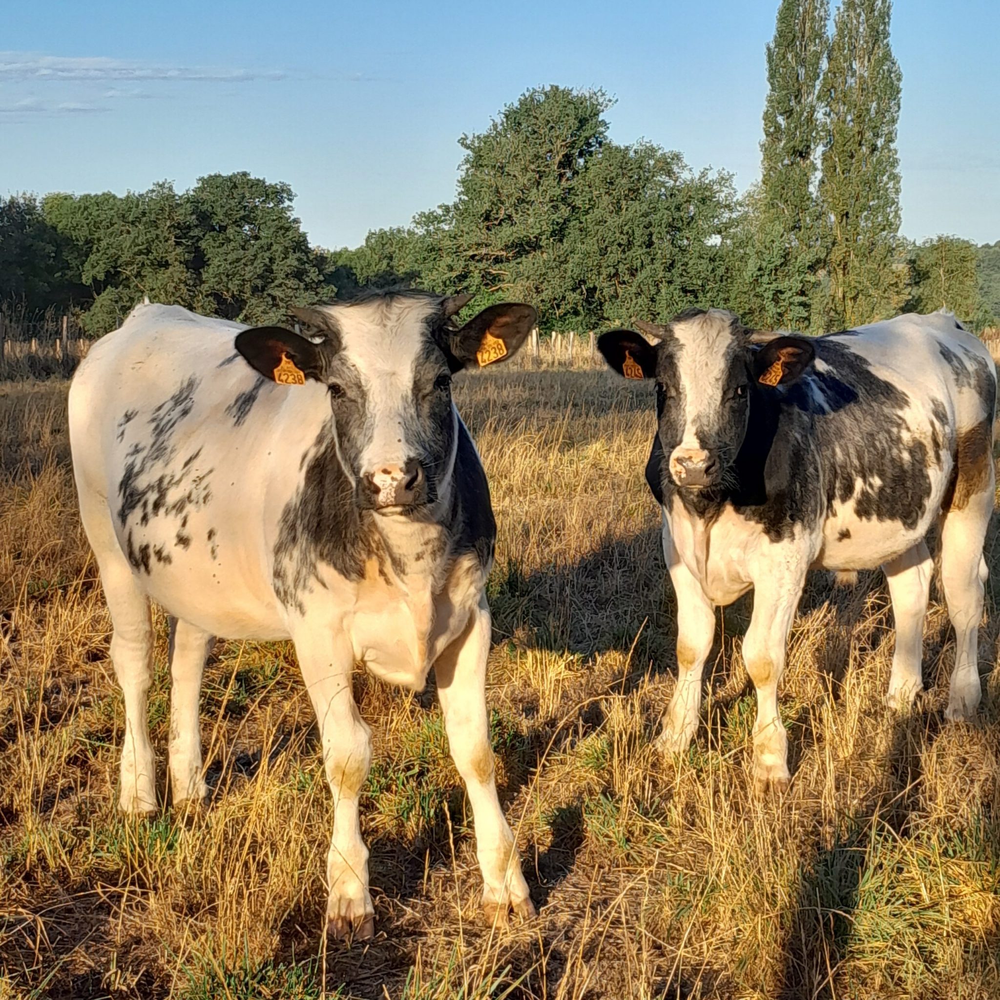 Europe & Asie, été 2022