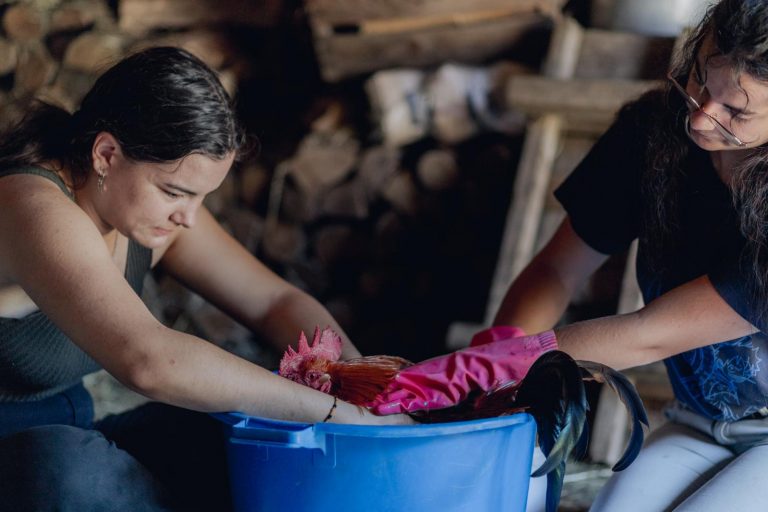 Typhaine donne le bain à Phoenix pendant la canicule